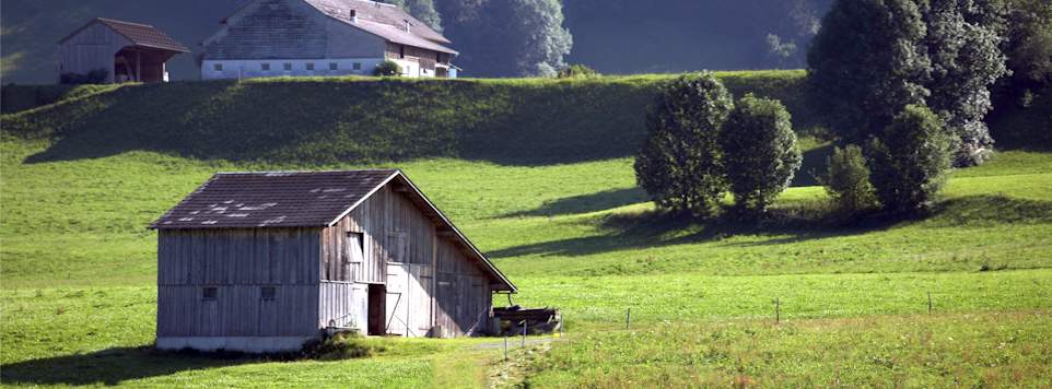 Wiese mit Hütte