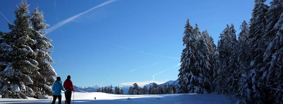 Winterlandschaft Brüggele